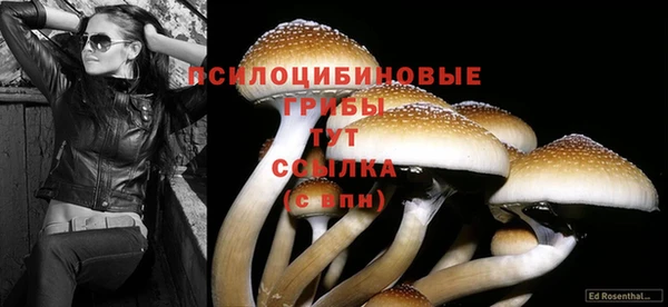 COCAINE Пересвет