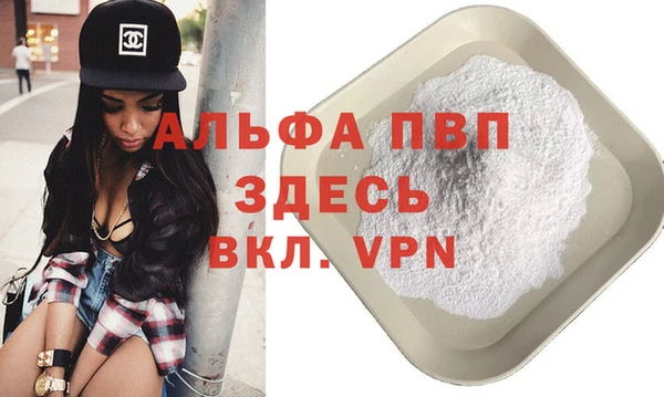 дживик Осташков