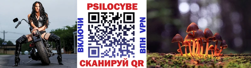 Псилоцибиновые грибы Psilocybine cubensis  Александровск-Сахалинский 